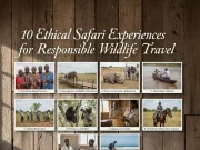 10 Ethical Safari Experiences for Responsible Wildlife Travel