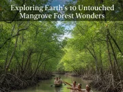 Exploring Earth’s 10 Untouched Mangrove Forest Wonders Mangrove Forest Wonders