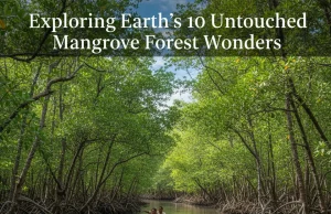 Exploring Earth’s 10 Untouched Mangrove Forest Wonders Mangrove Forest Wonders